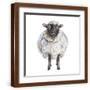 Brown Frame