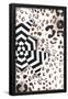Essential Black