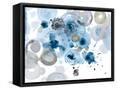 Framed Canvas