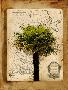 Laminate