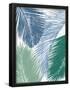 Essential Black