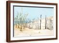 Brown Frame