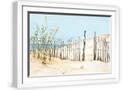 White Frame