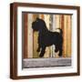 Brown Frame