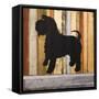 Canvas Black