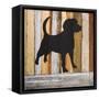 Canvas Black