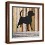 Brown Frame