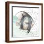 Brown Frame