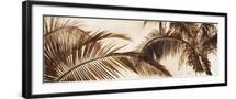 Black Frame