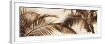 White Frame