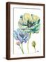 Brown Frame