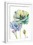 White Frame