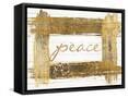 Framed Canvas