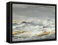 Framed Canvas