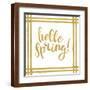 Brown Frame