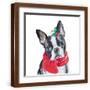 Brown Frame