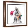 Brown Frame