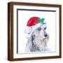 Brown Frame