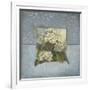 Gramercy White