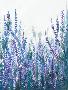 Just the Print