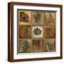 Brown Frame