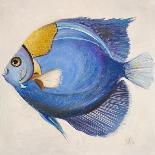 Little Fish III-Patricia Pinto-Art Print