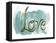 Framed Canvas