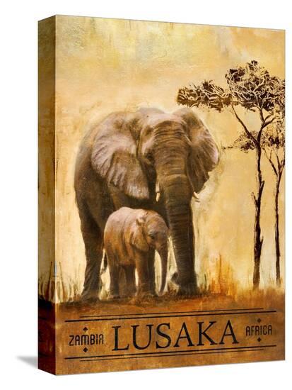 Stretched Canvas Print, , large