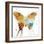 Brown Frame