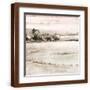 Brown Frame