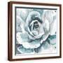 Chelsea Espresso