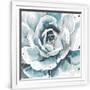 Gramercy White