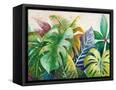 Canvas Black