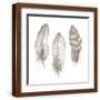 Brown Frame
