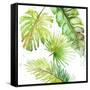 Canvas Black
