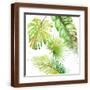 Brown Frame