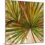 Wood Mount