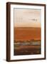 Brown Frame