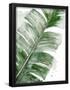 Essential Black