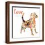 Brown Frame