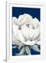 Gramercy White