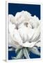 Gramercy White