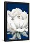 Essential Black