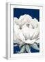 White Frame