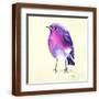 Brown Frame