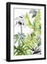Black Frame