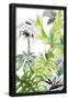 Essential Black