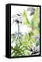 Canvas Black