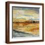 Brown Frame