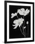 Gramercy Black